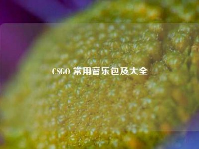 CSGO 常用音乐包及大全