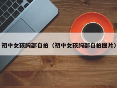 初中女孩胸部自拍（初中女孩胸部自拍图片）