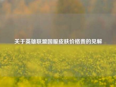 关于英雄联盟国服皮肤价格贵的见解