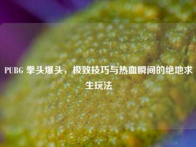 PUBG 拳头爆头，极致技巧与热血瞬间的绝地求生玩法