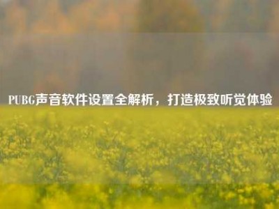 PUBG声音软件设置全解析，打造极致听觉体验
