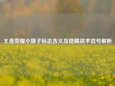 王者荣耀小旗子标志含义及隐藏战术信号解析
