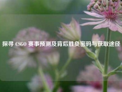 探寻 CSGO 赛事预测及背后胜负密码与获取途径