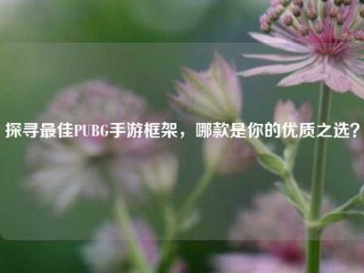 探寻更佳PUBG手游框架，哪款是你的优质之选？