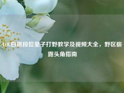 LOL白银段位皇子打野教学及视频大全，野区崭露头角指南