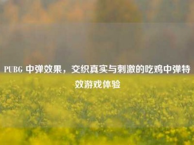 PUBG 中弹效果，交织真实与     的吃鸡中弹特效游戏体验