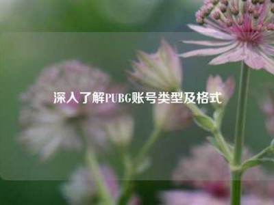深入了解PUBG账号类型及格式
