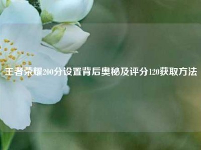 王者荣耀200分设置背后奥秘及评分120获取方法