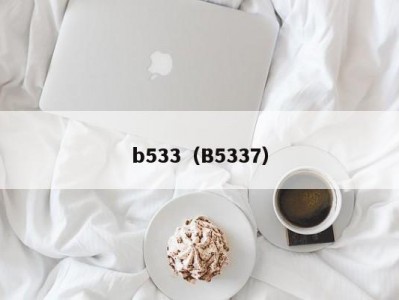 b533（B5337）