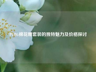 PUBG棉花糖套装的独特魅力及价格探讨