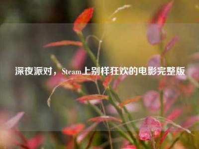 深夜派对，Steam上别样狂欢的电影完整版