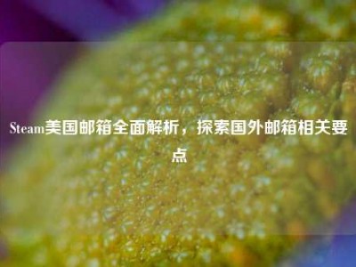 Steam美国邮箱全面解析，探索国外邮箱相关要点