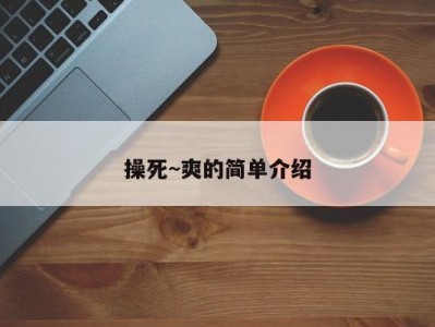 操死~爽的简单介绍