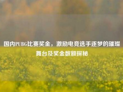 国内PUBG比赛奖金，激励电竞选手逐梦的璀璨舞台及奖金数额探秘