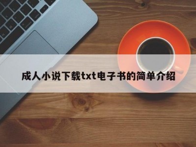 成人小说下载txt电子书的简单介绍