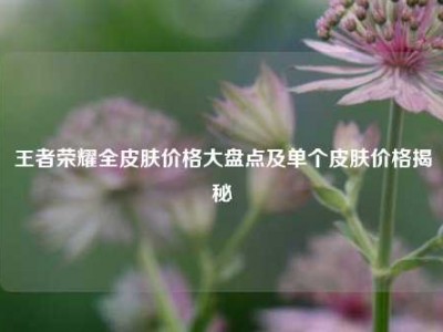 王者荣耀全皮肤价格大盘点及单个皮肤价格揭秘