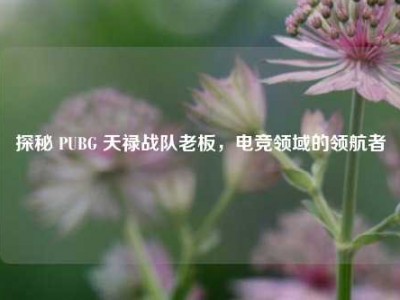 探秘 PUBG 天禄战队老板，电竞领域的领航者