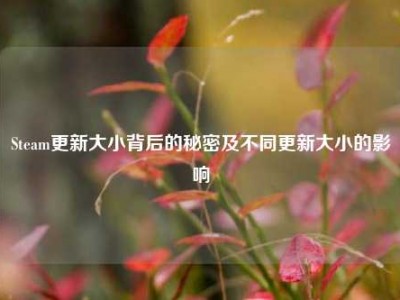 Steam更新大小背后的秘密及不同更新大小的影响