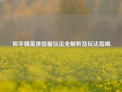 和平精英体验服玩法全解析及玩法指南