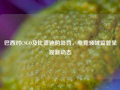 巴西对CSGO及比亚迪的处罚，电竞领域监管呈现新动态