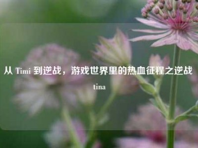 从 Timi 到逆战，游戏世界里的热血征程之逆战 tina