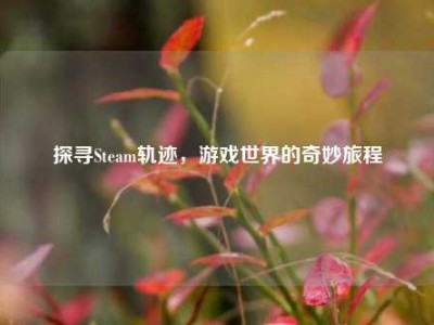 探寻Steam轨迹，游戏世界的奇妙旅程