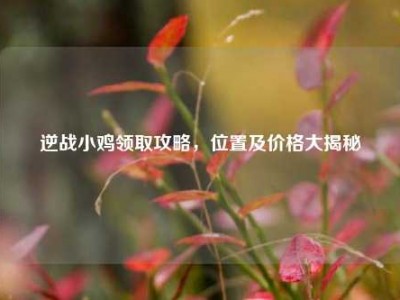 逆战小鸡领取攻略，位置及价格大揭秘