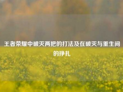 王者荣耀中破灭两把的打法及在破灭与重生间的挣扎