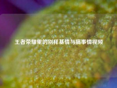 王者荣耀里的别样基情与搞事情视频