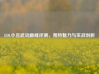 LOL小丑武动巅峰评测，独特魅力与实战剖析