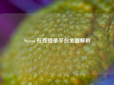 Steam 在线登录平台全面解析