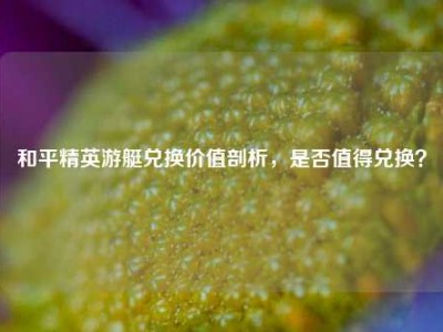 和平精英游艇兑换价值剖析，是否值得兑换？