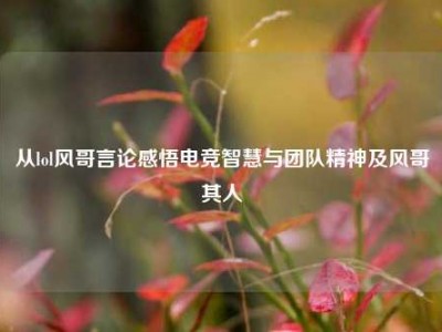 从lol风哥言论感悟电竞智慧与团队精神及风哥其人