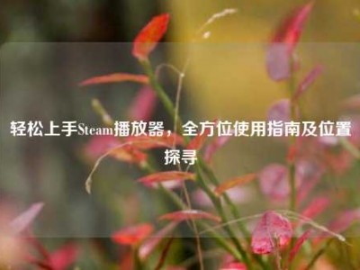 轻松上手Steam播放器，全方位使用指南及位置探寻