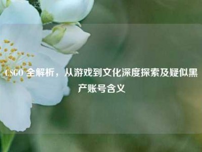 CSGO 全解析，从游戏到文化深度探索及疑似黑产账号含义
