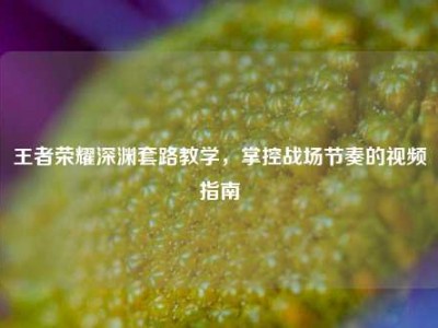 王者荣耀深渊套路教学，掌控战场节奏的视频指南