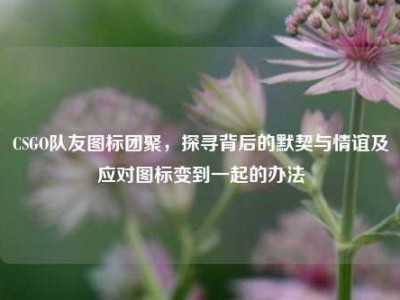 CSGO队友图标团聚，探寻背后的默契与情谊及应对图标变到一起的办法