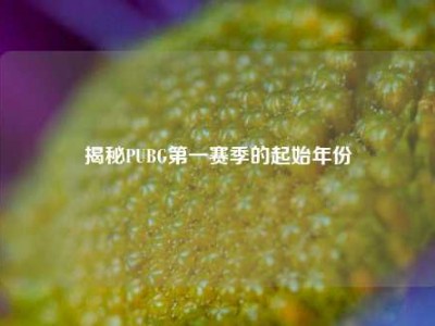 揭秘PUBG之一赛季的起始年份
