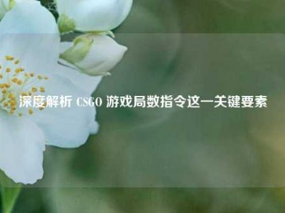 深度解析 CSGO 游戏局数指令这一关键要素