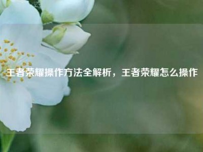 王者荣耀操作方法全解析，王者荣耀怎么操作