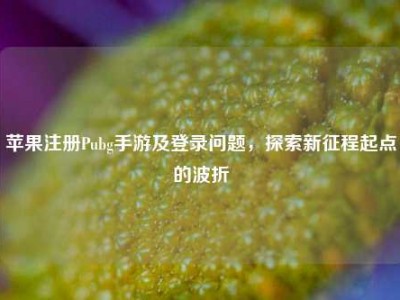 苹果注册Pubg手游及登录问题，探索新征程起点的波折