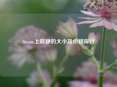 Steam上寂静的大小及价格探讨