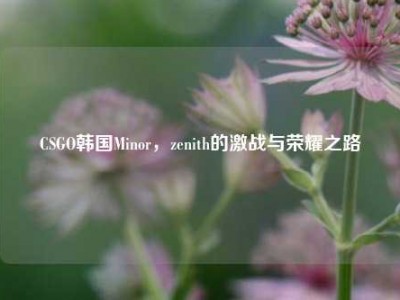 CSGO韩国Minor，zenith的激战与荣耀之路