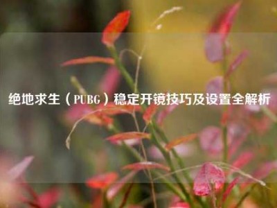 绝地求生（PUBG）稳定开镜技巧及设置全解析