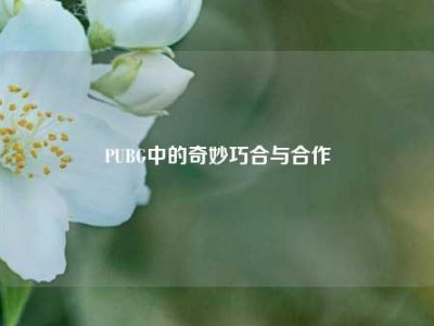PUBG中的奇妙巧合与合作