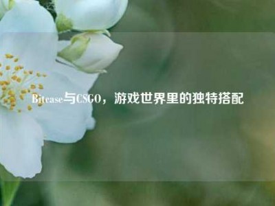 Bitcase与CSGO，游戏世界里的独特搭配