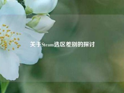 关于Steam选区差别的探讨