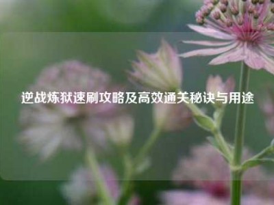 逆战炼狱速刷攻略及高效通关秘诀与用途