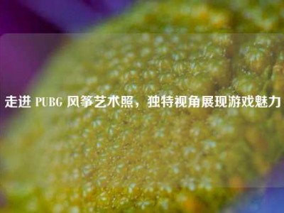 走进 PUBG 风筝艺术照，独特视角展现游戏魅力