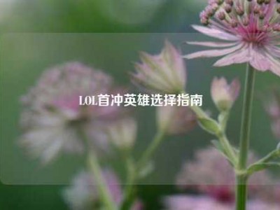 LOL首冲英雄选择指南